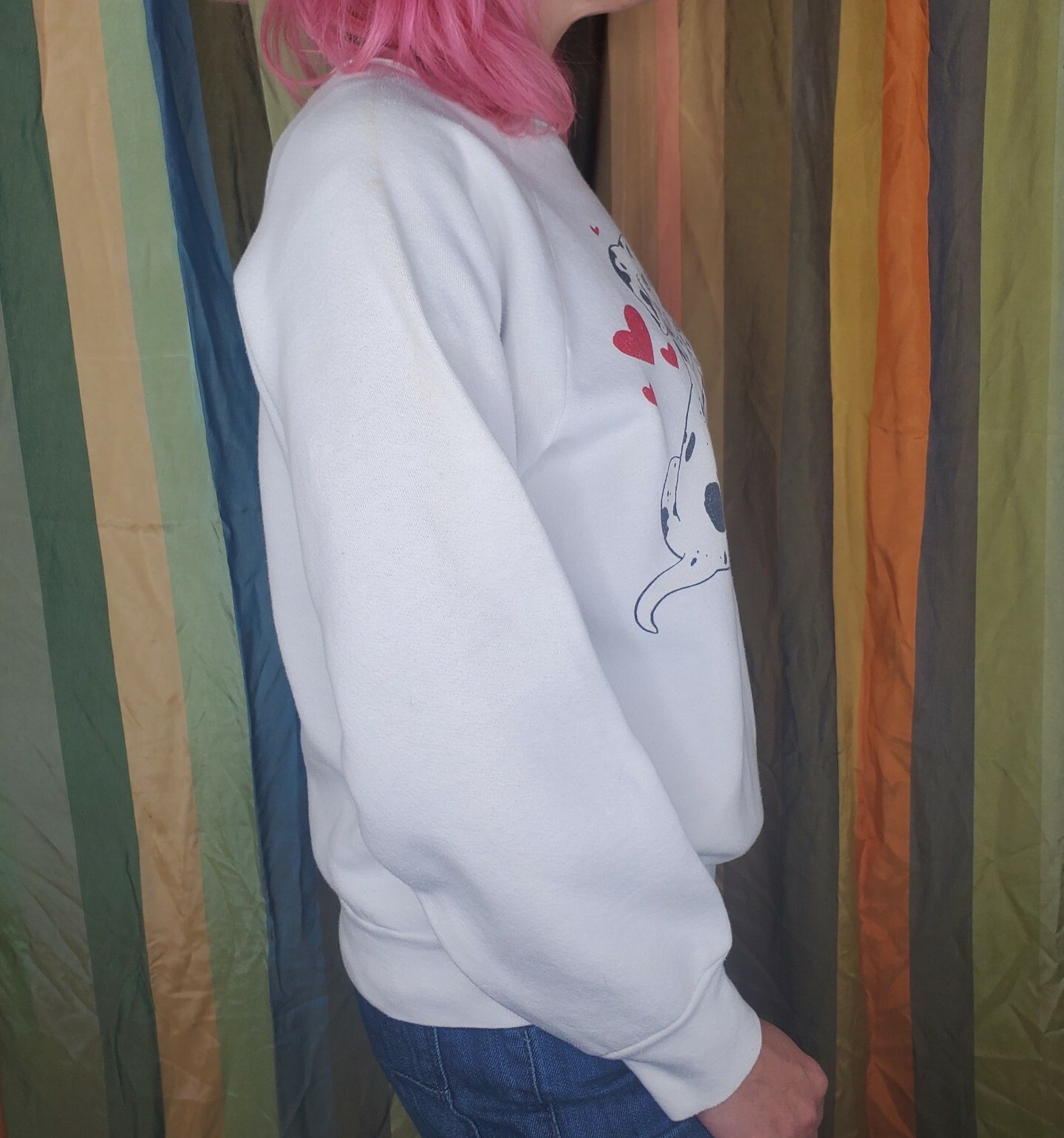 Picture 4 of 6