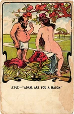 PC FREEMASONRY, HUMOR, ADAM ARE YOU A MASON, Vintage Postcard (b56721)