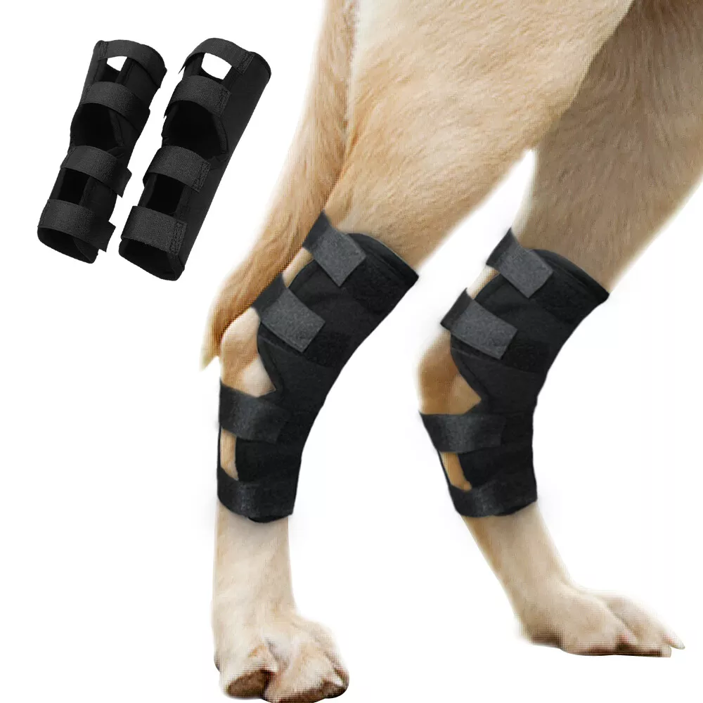 Dog Knee Brace for Torn Acl Hind Leg Large Small Back Legs