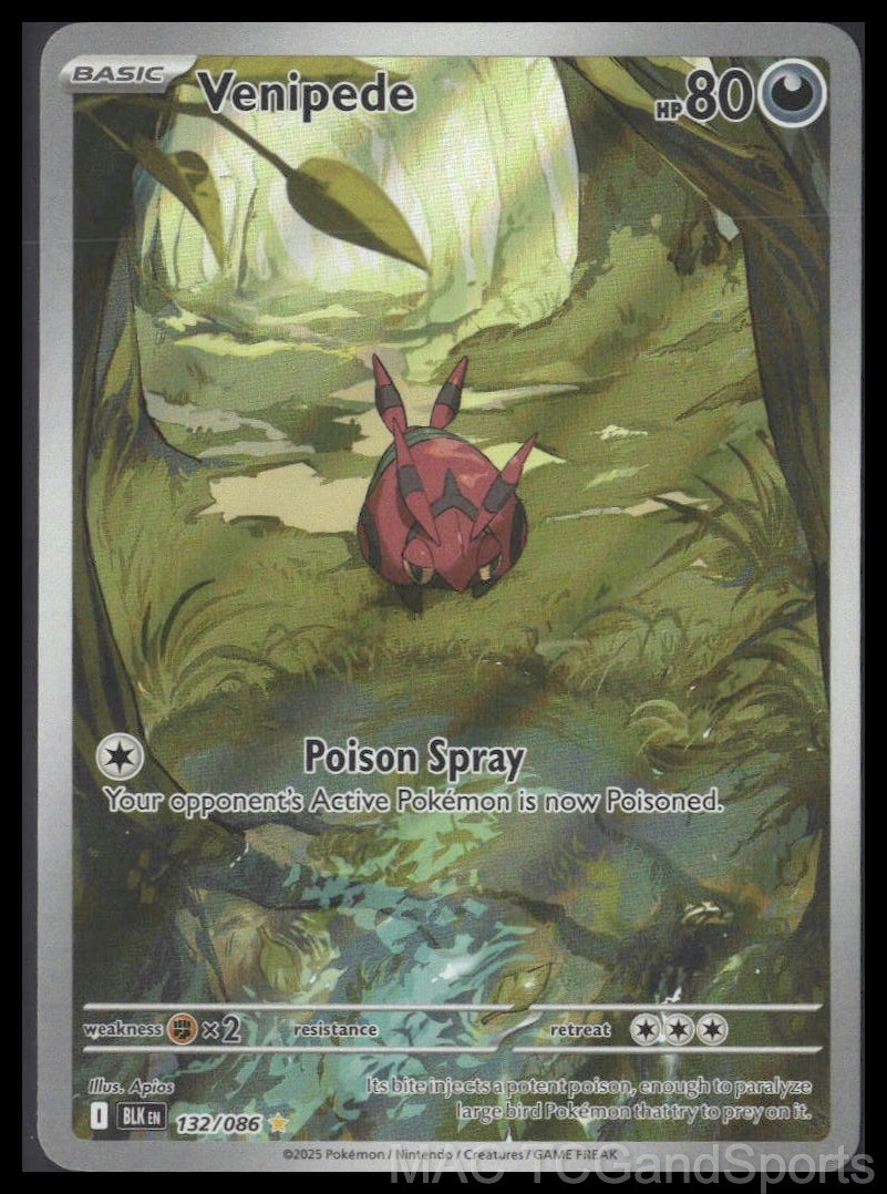 Venipede 132/086 Black Bolt Pokemon TCG NM