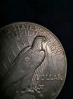 Picture 7 of 7
