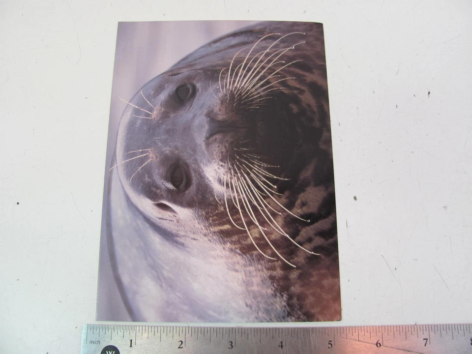 LOTE DE 18 TARJETAS DE NOTAS DE FELICITACIÓN SELLO PUERTO gráficos Crane Creek Foto 3 de 4