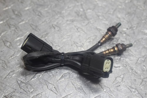 2014 HARLEY DAVIDSON SPORTSTER IRON 883 O2 OXYGEN SENSOR EXHAUST LAMBDA ...