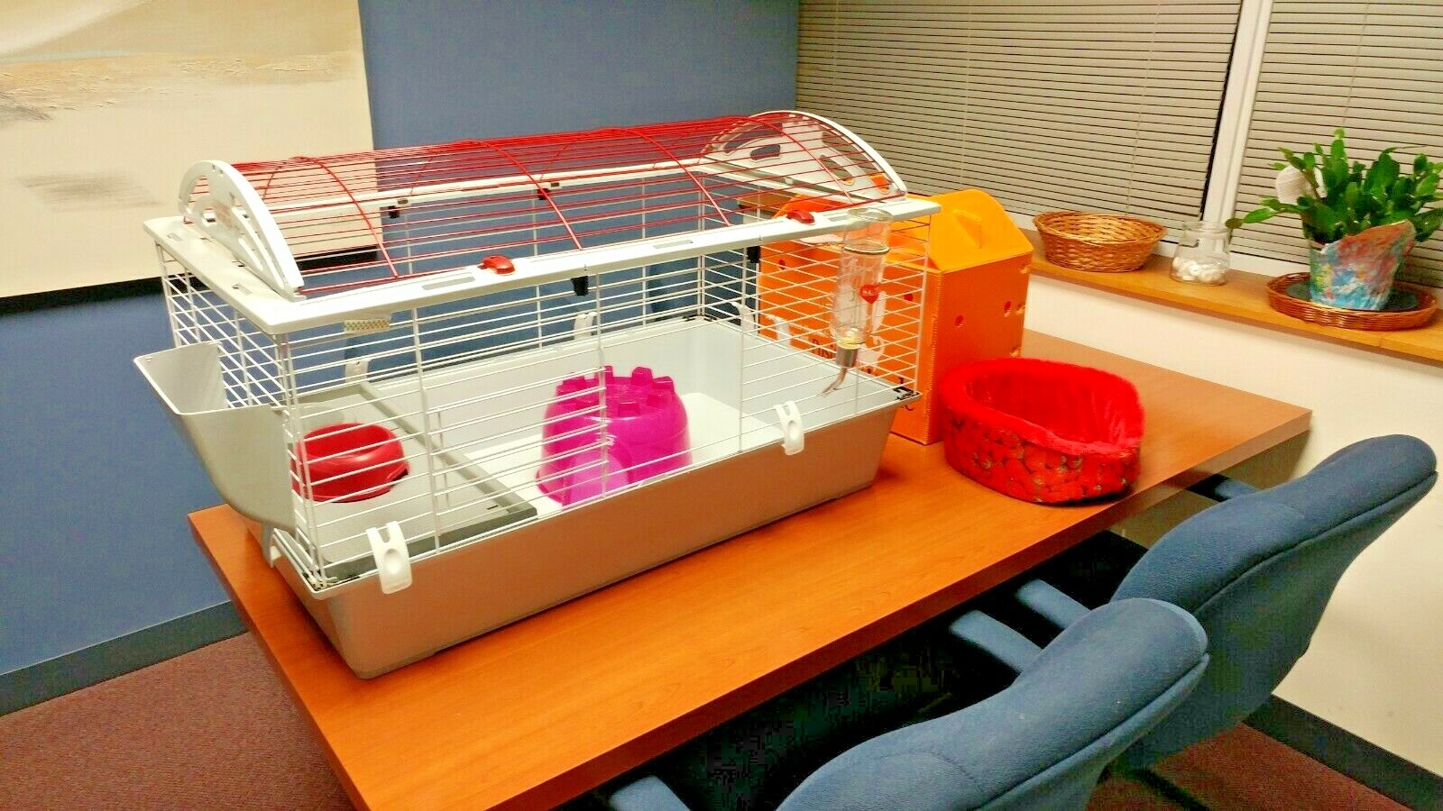 living world extra large rabbit cage