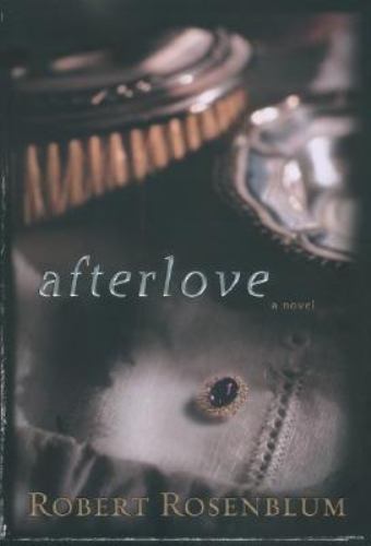 Afterlove by Robert Rosenblum (2003, Hardcover)