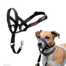Headcollar - Stop Your Dog Pulling on the Leash. Adjustable, Reflective and L...