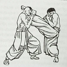 Ukrainian Martial Art Book Combat Hopak Level Zhovtyak by Volodymyr Pylat