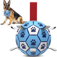 Hundeball mit Seil 8 Zoll Blaum Wei&szlig; Hundespielzeug robust Indoor Outdoor