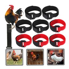 10PCS Anti Crow Collar Roosters Cockerel Poultry No Crow Noise Nylon Neck Belt