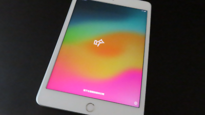 Apple iPad Mini 5 64gb 5th Gen (Generation) Wi-Fi + 4G Mobile