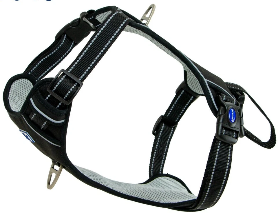 Arnés de viaje para perros - Viva negro. Uso en coche/caminatas. Acolchado reflectante ajustable Foto 3 de 4