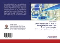 Leonardo J. Solmesky | Characterization Of Human Mesenchymal Stem Cells From...