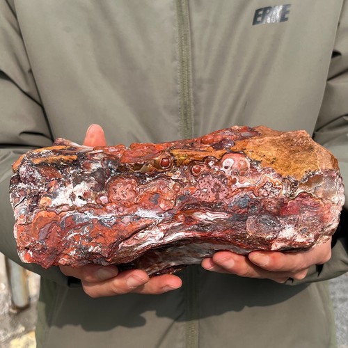 9.99LB Natural Raw Mexican Crazy Lace Agate Rough With Druzy Crystal Healing - Picture 15 of 17