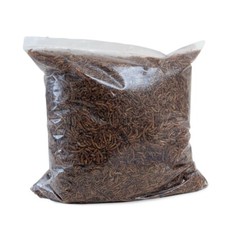 Walters Premium Dried Mealworms or Calciworms for Wild Birds 5kg