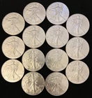 LOT OF 14 - 2018 1 OZ  AMERICAN EAGLE  .999 SILVER DOLLAR COINS