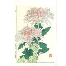 Yuichi Osuga F180 Chrysanthemum Woodcut print Hanga Kyoto JAPAN UNSODO BRAND