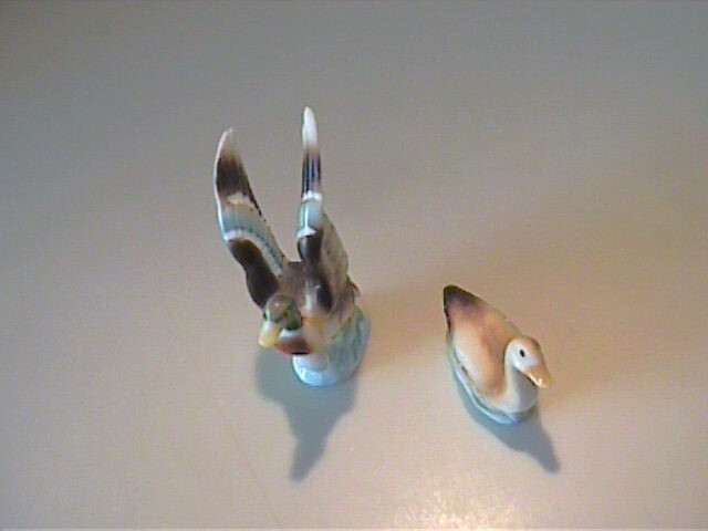 Bild 6 von 6