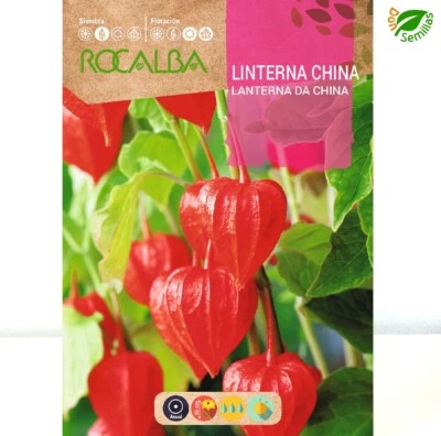 ROCALBA Linterna China ( Physalis alkekengi ) 1 gr / 600 semillas apróx - seeds flores