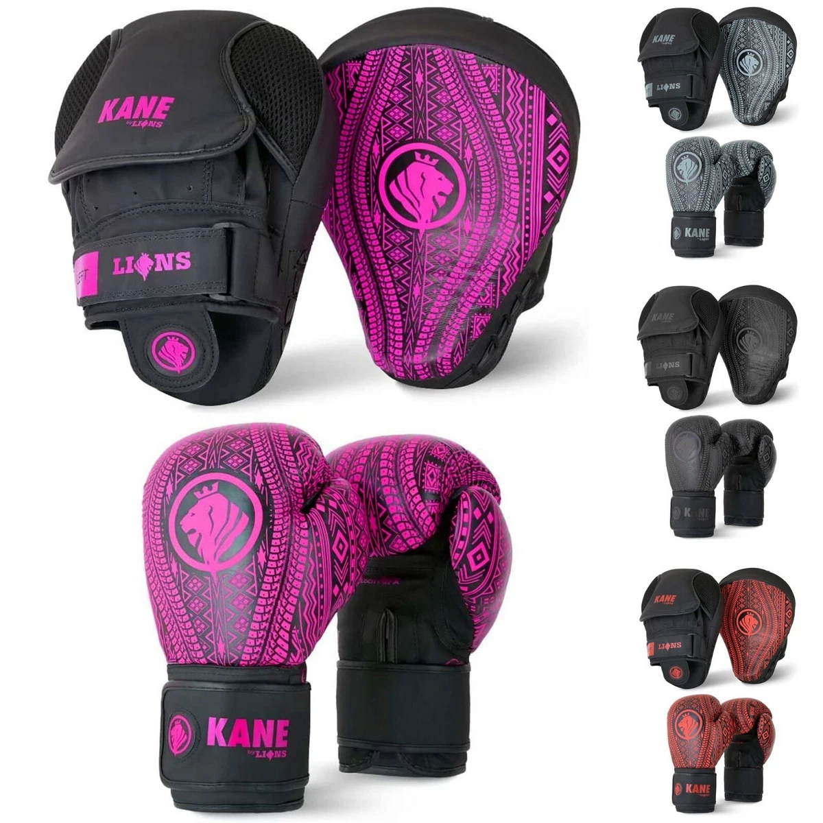 Boxing mitts best sale and pads set