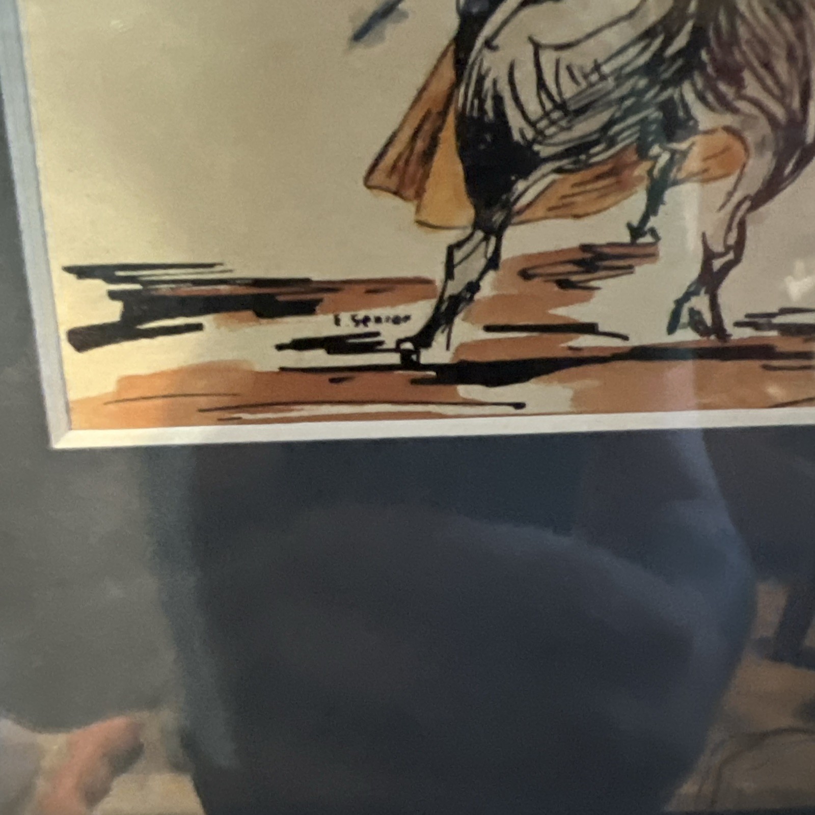Picture 4 of 13