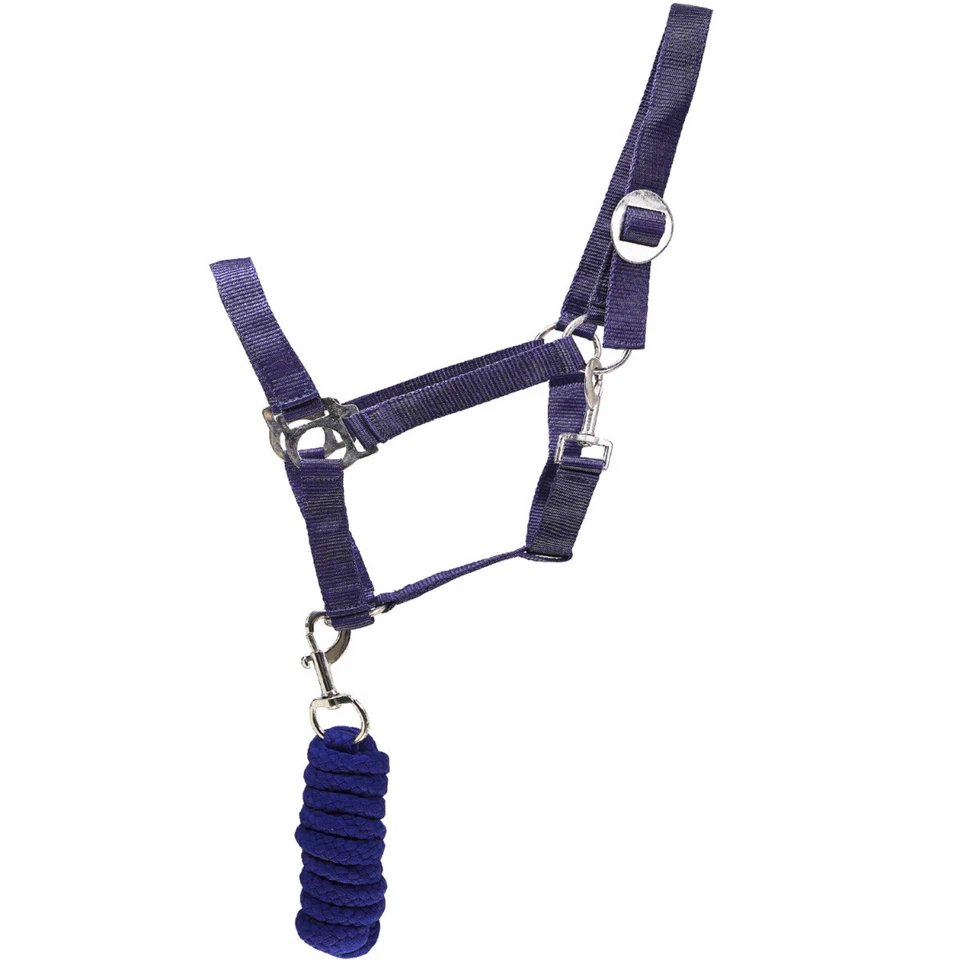 L-Sport Set Nylon Halfter und weicher Strick mit Karabinerhaken - Bild 3 von 4