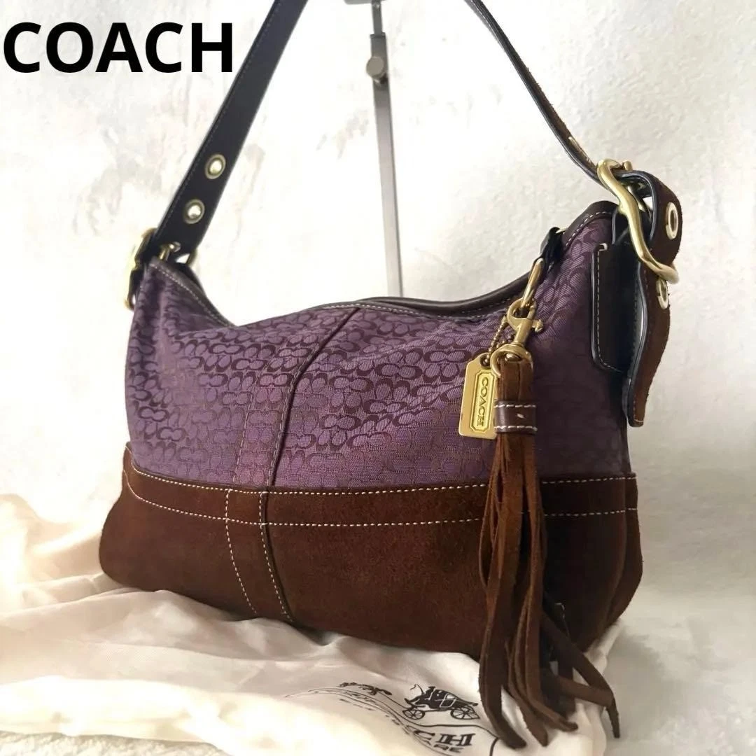 Coach Tassel Bags & Handbags for Women | eBay