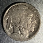 1913 D Type 1 Buffalo Nickel. Full Horn Details. Holo-restored Coin (A)