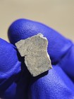 NEA 083 Lunar Meteorite 1.233g Slice Granulitic Breccia Libya 2024 — photo 4