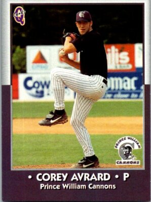 1998 Blueline Prince William Cannons Minor League - Pick Choose Your Cards