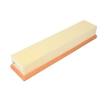 Luftfilter Mann-Filter C 3875