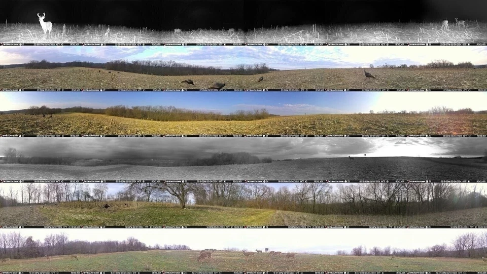 Stealth Cam револьвер 36MP фото 1080P HD видео на 30 кадров в секунду 0,4 сек триггер... - Изображение 3 из 4