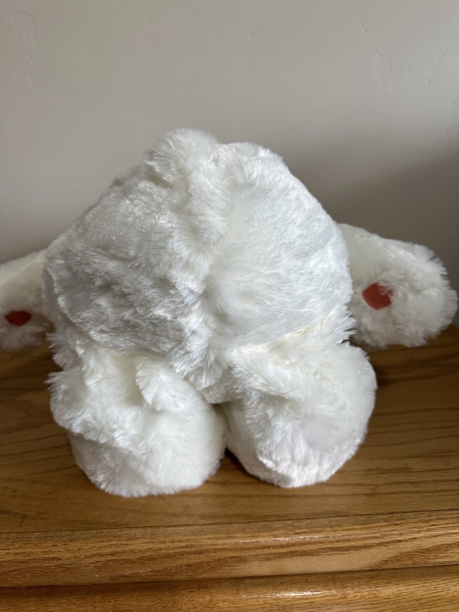 Care Bear Sparkle heart Bear Japan NWOT | eBay