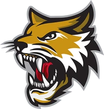 Vermilion County Bobcats Defunct SPHL Hockey Mens Polo Shirt XS-6XL, LT-4XLT New