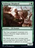 Nullmage Shepherd [Kaldheim Commander] Magic MTG