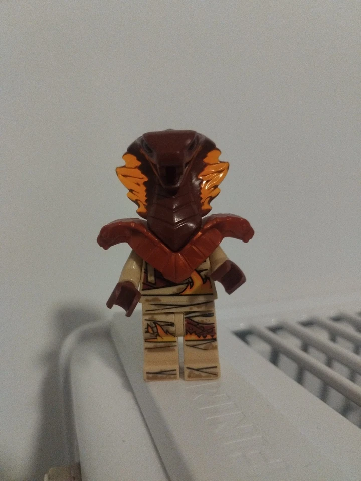 LEGO Ninjago 70677 Land Bounty, photo 1 sur 2