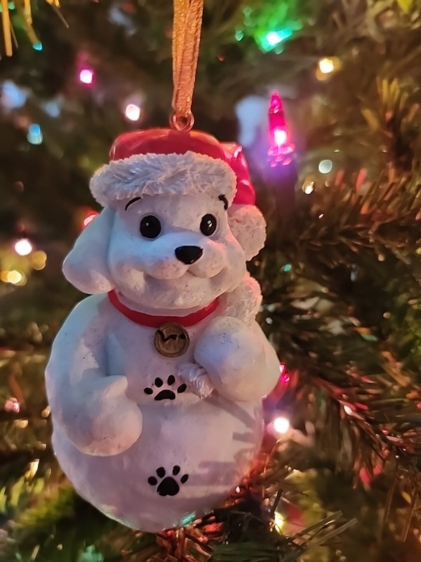 PetSmart 2001 Luv-a-Pet Dog Snow Puppy Christmas Ornament 