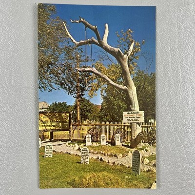 Postcard Dodge City Kansas Boot Hill Cemetery Hangman's Tree Unposted