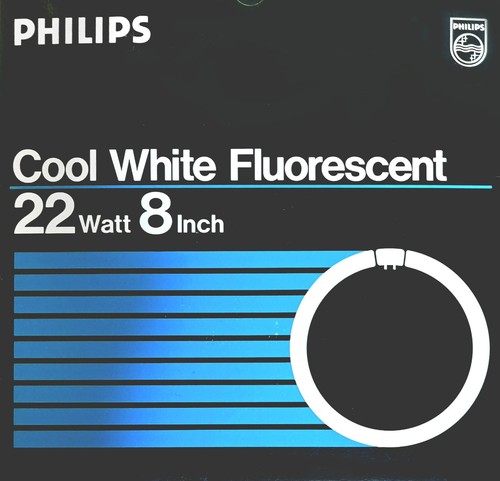 Philips FC8T9/CW Fluorescent 22W 8" Circline Circular Lamp Light Bulb Cool White - Picture 2 of 3