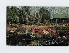 Postcard Annual Azalea show Mitchell Park Horticultural Conservatory WI USA