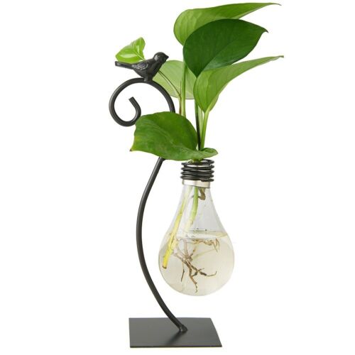 Desktop Glass Planter Hydroponics Vase,Planter Bulb Vase with Holder for Home...