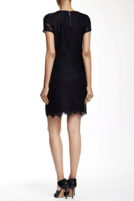 laundry by shelli segal lace shift dress Lace Sheath Dress