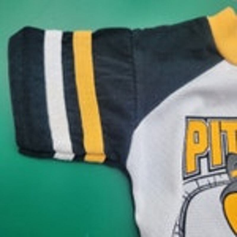 Tasmanian Devil Taz Kids Toddler TShirt Pittsburgh Penguins Hockey