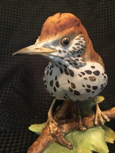 Tay Italy Ceramic Wood Thrush ‘Trush’ 5.5" Tall Giuseppe Tagliariol - Picture 16 of 24