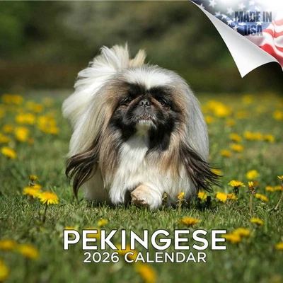 MEGACALENDARS Pekingese Dog Breed Calendar 2026 FULL SIZE 12x24 Made in USA