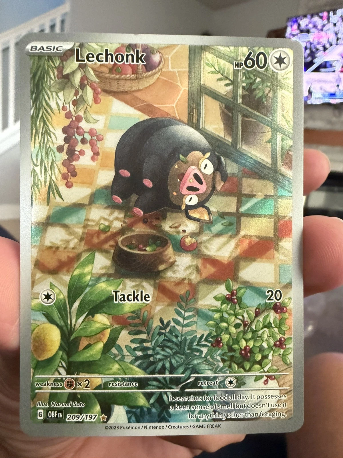 Pokémon TCG Lechonk Illustration Rare Holo Card 209/197 Sv03: Obsidian Flames