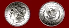1881-O MORGAN DOLLAR (HIGH BU++++) HIGH GRADE (MS++++) **MUST SEE BEAUTY**!!