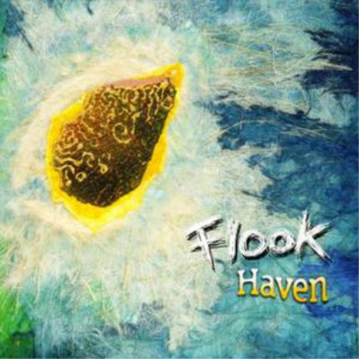 Альбом Flook Haven (CD)