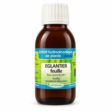 Églantier feuille – Extrait hydroalcoolique de plante fraîche – Phytofrance