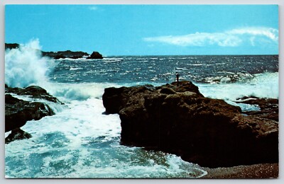 Postcard Point Lobos, A Dramatic Meeting Of Land And Sea, Hwy 1, South Of Carmel