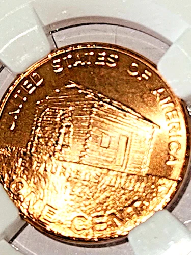2009D Lincoln Cent SMS Birth and Childhood NGC MS69 RD!!